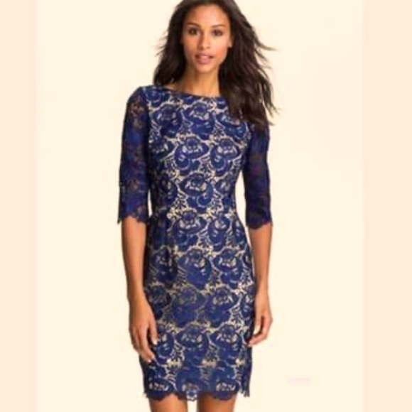 Dresses | Eliza J Royal Blue Lace Dress 